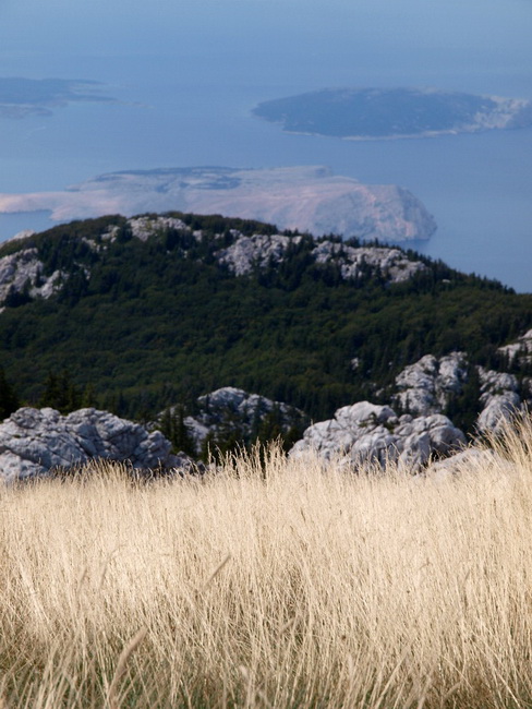 Nedjelja na Zavizanu