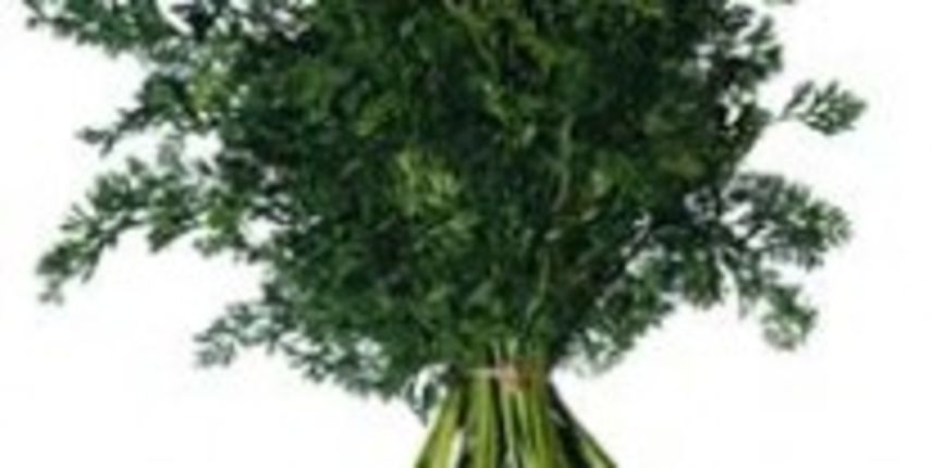 Nisu samo mrkve dobre za vid Nisu samo mrkve dobre za vid