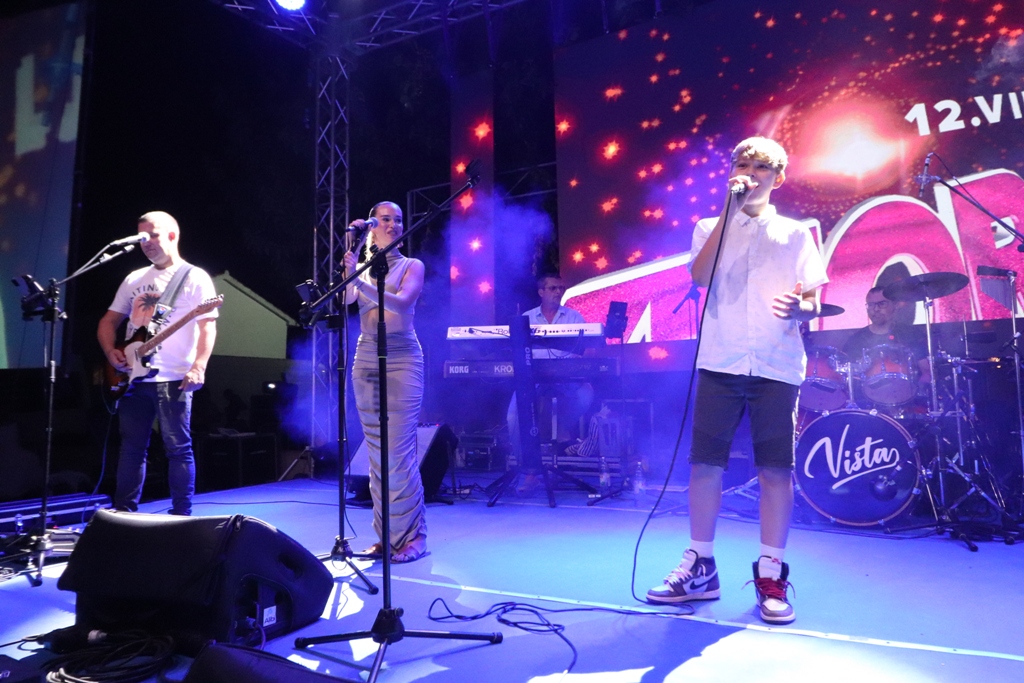 Vir fest 2024. Vir fest 2024.