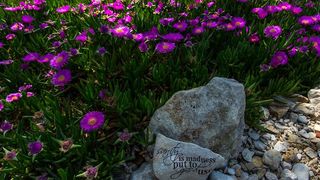 Nedjeljnja šetnja od Dikla do Pinije, Foto: Mladen Radolović Mrlja Nedjeljnja šetnja od Dikla do Pinije, Foto: Mladen Radolović Mrlja
