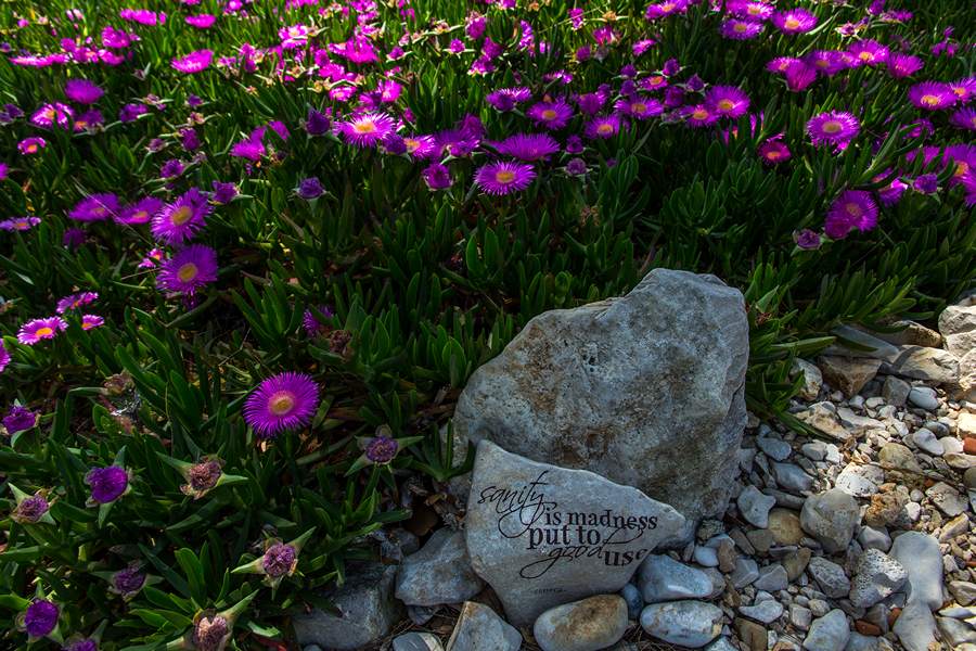 Nedjeljnja šetnja od Dikla do Pinije, Foto: Mladen Radolović Mrlja Nedjeljnja šetnja od Dikla do Pinije, Foto: Mladen Radolović Mrlja