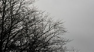 Đir do vrha Zečjak na sjevernom Velebitu, Foto: Leo Banić