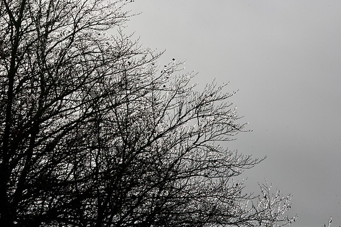 Đir do vrha Zečjak na sjevernom Velebitu, Foto: Leo Banić