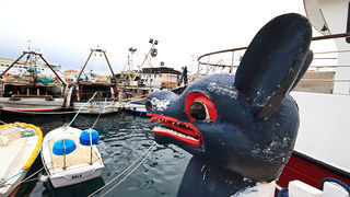 Ribarice u zadarskoj luci, Foto: Leo Banić