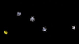 KLZ: “Zvjezdica” za početak nove sezone, foto: Iva Perinčić