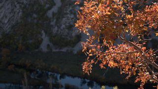 Đir do kraških ljepotica Krupe i Zrmanje, Foto: Vinko Pešić Đir do kraških ljepotica Krupe i Zrmanje, Foto: Vinko Pešić