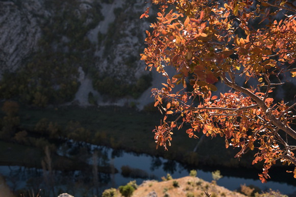Đir do kraških ljepotica Krupe i Zrmanje, Foto: Vinko Pešić Đir do kraških ljepotica Krupe i Zrmanje, Foto: Vinko Pešić