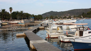 Image 1117679 (auto)