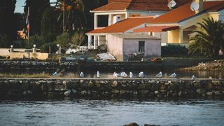 Đir po Sutomišćici Đir po Sutomišćici