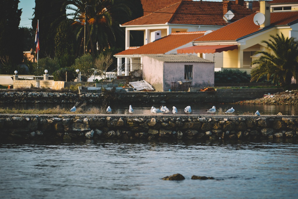 Đir po Sutomišćici Đir po Sutomišćici