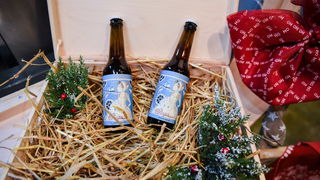 Advent u Zadru: Od kućice do kućice Advent u Zadru: Od kućice do kućice