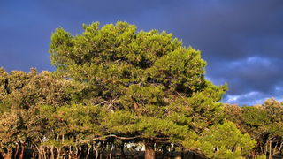 Plameni zalazak na Punta Skali, foto: L. Kvarantan