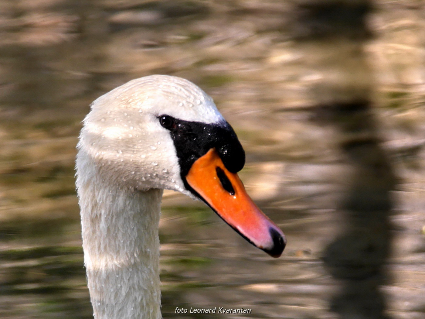 Nedjeljni izlet u Nacionalni park Krka Nedjeljni izlet u Nacionalni park Krka