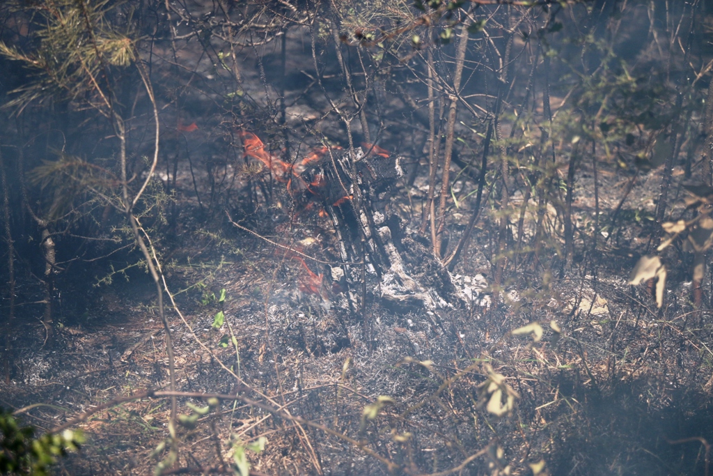 Vir: Požar u Lozicama u potpunosti ugašen Vir: Požar u Lozicama u potpunosti ugašen