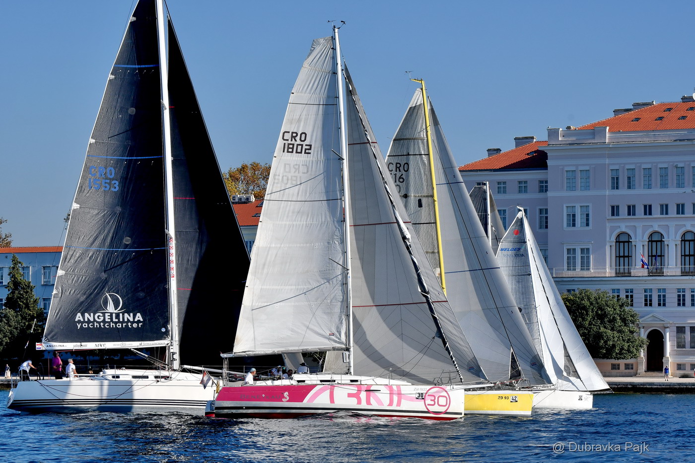 Sva lica “Zadarske koke” Sva lica “Zadarske koke”