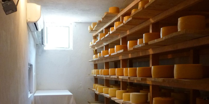 OPG Jure Šušić – proizvodnja sira