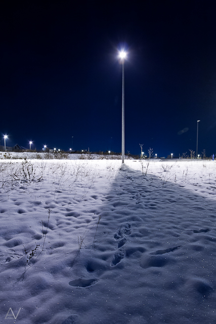 Noćni đir po Višnjiku, Foto: Anđelo Virag