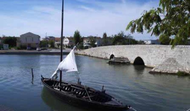 Condura Croatica (Foto: unizd.hr)