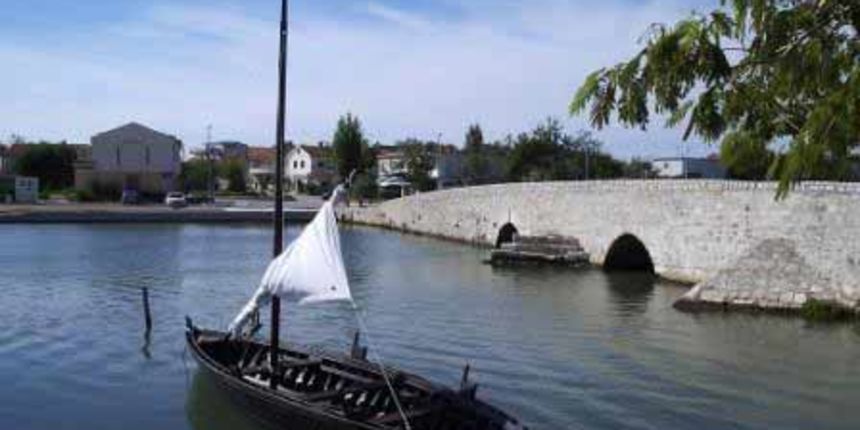 Condura Croatica (Foto: unizd.hr)