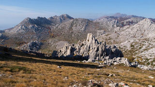 OLYMPUS DIGITAL CAMERA OLYMPUS DIGITAL CAMERA