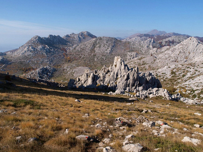 OLYMPUS DIGITAL CAMERA OLYMPUS DIGITAL CAMERA