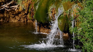 Nedjeljni izlet u Nacionalni park Krka Nedjeljni izlet u Nacionalni park Krka