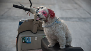 Otvoren Vespa World Days Otvoren Vespa World Days