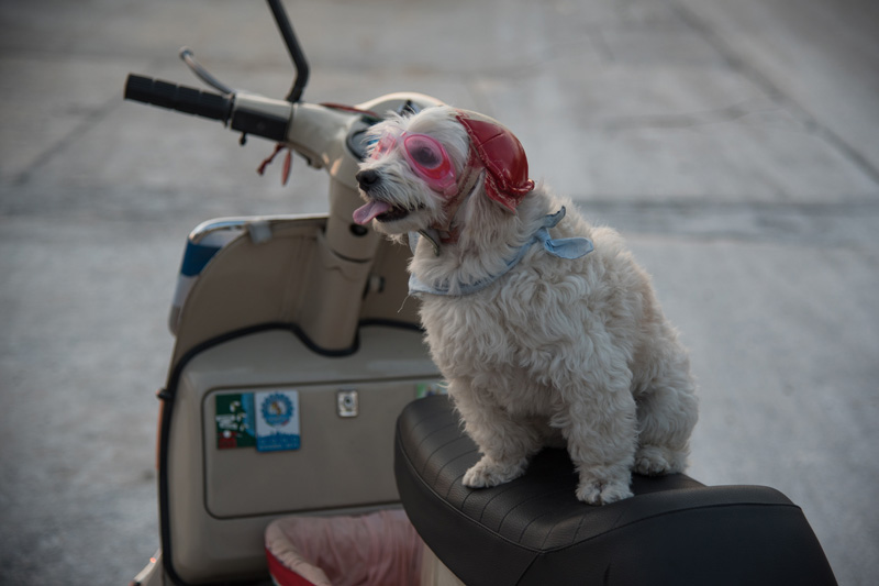 Otvoren Vespa World Days Otvoren Vespa World Days