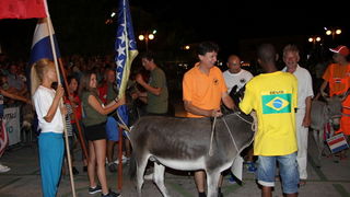 Tisno: Međunarodna trka tovarov 2013, Foto: Edin Kadić Tisno: Međunarodna trka tovarov 2013, Foto: Edin Kadić