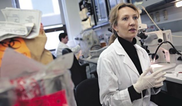 Krim laboratorij (Foto: newyorker.com)