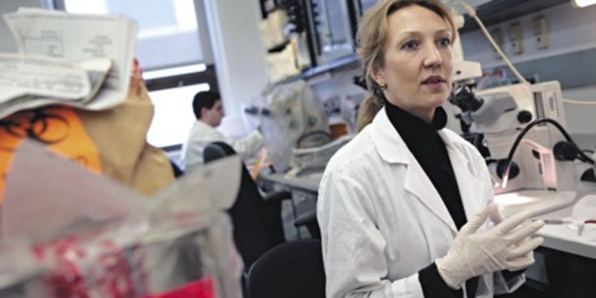 Krim laboratorij (Foto: newyorker.com)