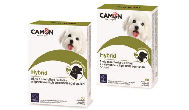 CAMON – HYBRID
