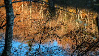Boje jeseni na Plitvičkim jezerima