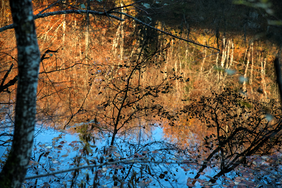 Boje jeseni na Plitvičkim jezerima