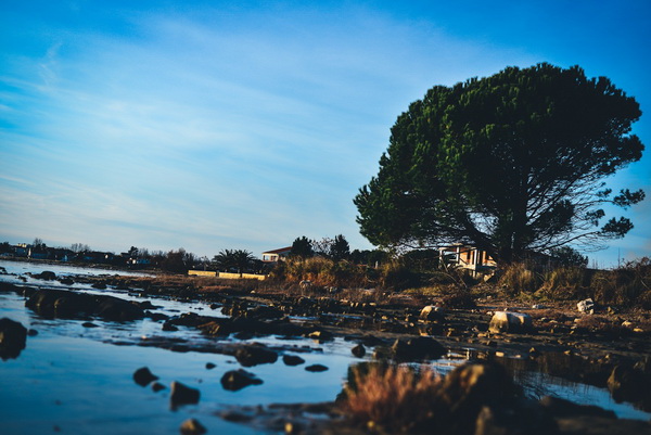 Večernji đir po Sabunikama i Kolovarama. Foto: Iva Perinčić