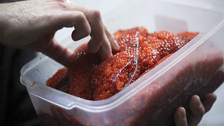 Dan pastrve u restoranu Kornat (foto:Saša Čuka)