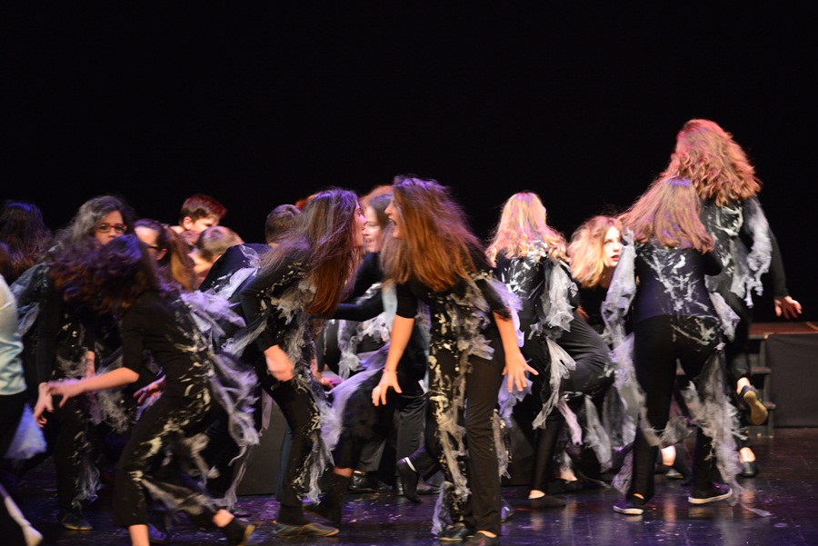 Premijera predstave “U sjeni” udruge “Igrajmo se” Premijera predstave “U sjeni” udruge “Igrajmo se”