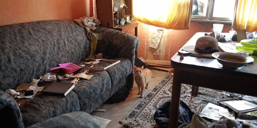 Image 380709 (auto) Image 380709 (auto)