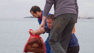 Ekološka akcija čišćenja podmorja u Bibinjama, foto: Leo Banić Ekološka akcija čišćenja podmorja u Bibinjama, foto: Leo Banić