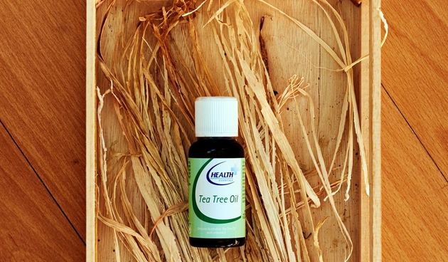 čajevac, ulje čajevca