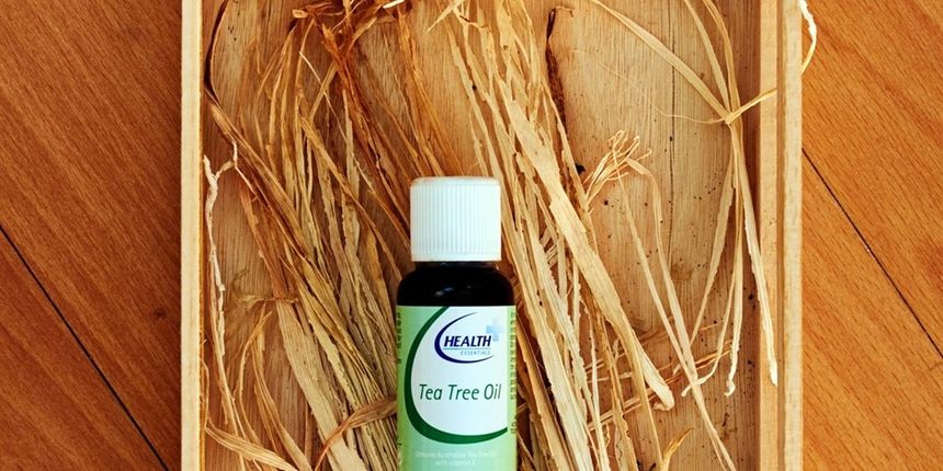 čajevac, ulje čajevca čajevac, ulje čajevca