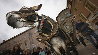 Sv.Nikola (foto:Saša Čuka)