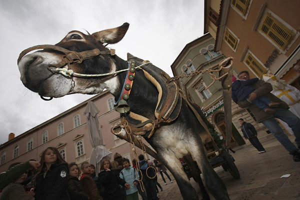 Sv.Nikola (foto:Saša Čuka)