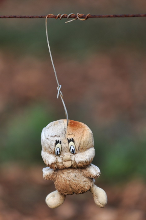Zadar, 021111.
Uz cestu koja vodi od Zadra prema Razancu moze se vidjeti jedan od sigurno najneobicnijih vinograda na svijetu. Umjesto uobicajenih strasila, vinograd cuvaju ogromni plisani medvjedi , lutke, barbike i raznorazne druge igracke i predmeti.
F Zadar, 021111.
Uz cestu koja vodi od Zadra prema Razancu moze se vidjeti jedan od sigurno najneobicnijih vinograda na svijetu. Umjesto uobicajenih strasila, vinograd cuvaju ogromni plisani medvjedi , lutke, barbike i raznorazne druge igracke i predmeti.
F