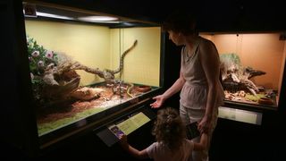 U Knezevoj palaci otvorena je izlozba djecjih radova na temu “Zmije – opasna ljepota”. Photo: Filip Brala/PIXSELL U Knezevoj palaci otvorena je izlozba djecjih radova na temu “Zmije – opasna ljepota”. Photo: Filip Brala/PIXSELL