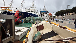 Ribarice u zadarskoj luci, Foto: Leo Banić