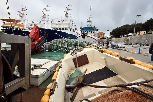 Ribarice u zadarskoj luci, Foto: Leo Banić