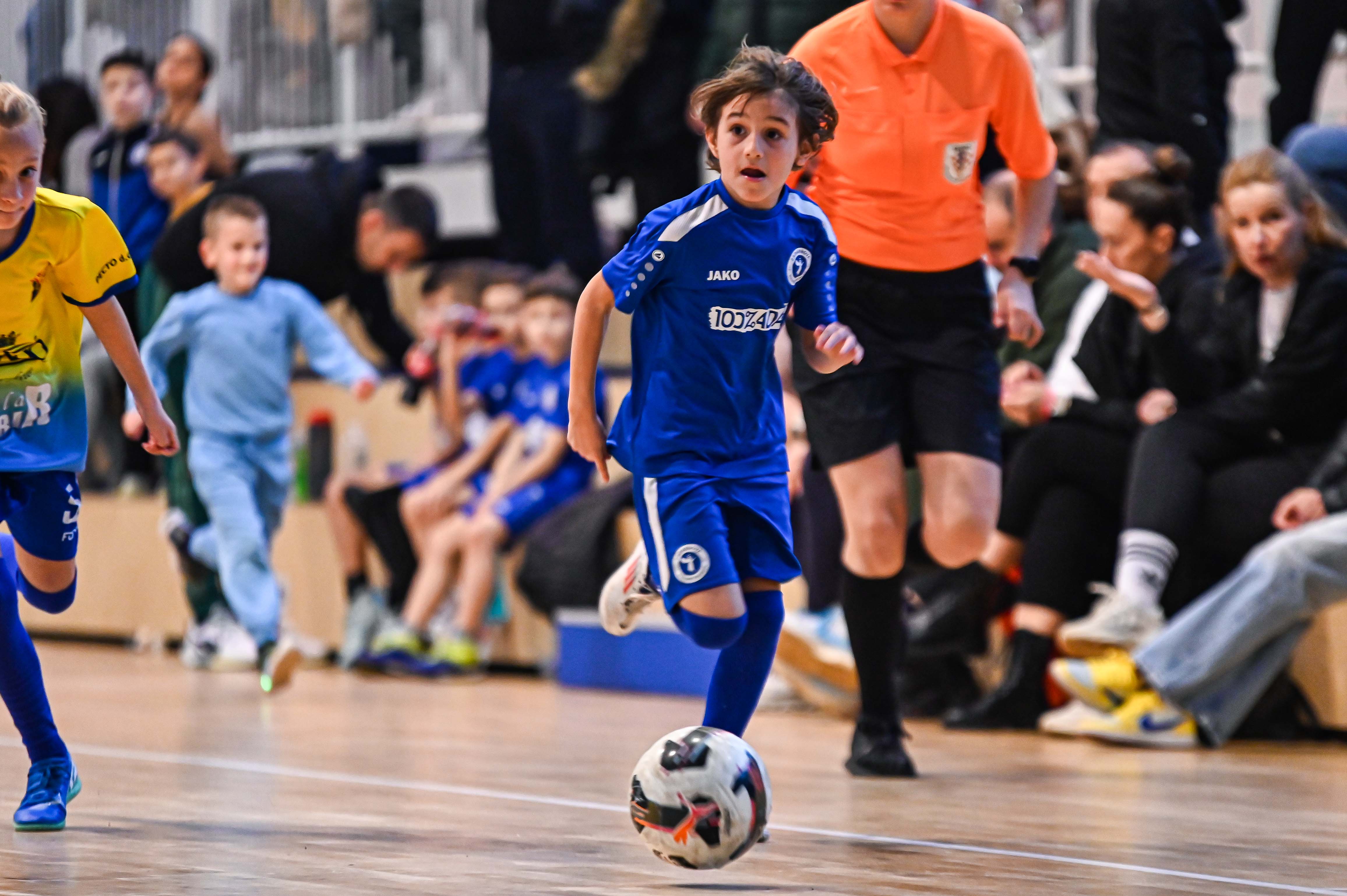 1.Cateleya indoor Cup 1.Cateleya indoor Cup