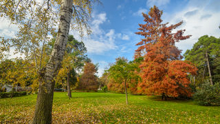 Jesenski đir po gradu, 15. studenog 2014. , foto: Marin Pitton Jesenski đir po gradu, 15. studenog 2014. , foto: Marin Pitton