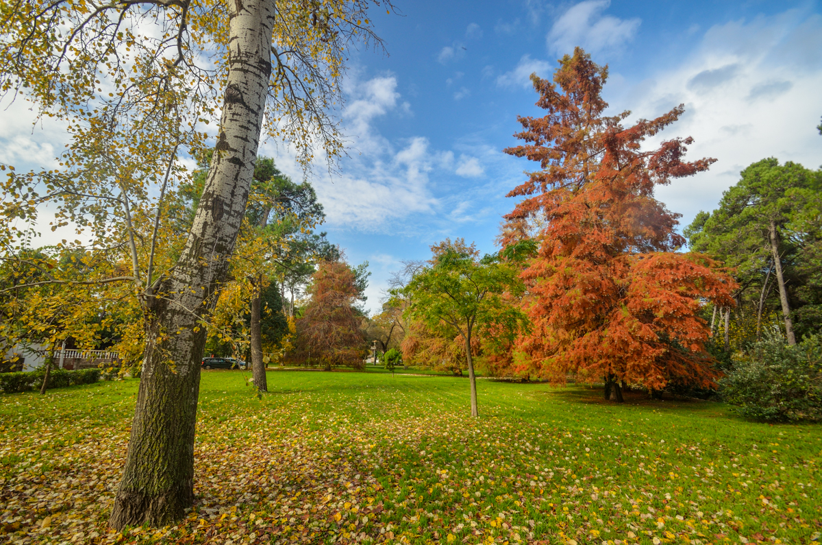 Jesenski đir po gradu, 15. studenog 2014. , foto: Marin Pitton Jesenski đir po gradu, 15. studenog 2014. , foto: Marin Pitton